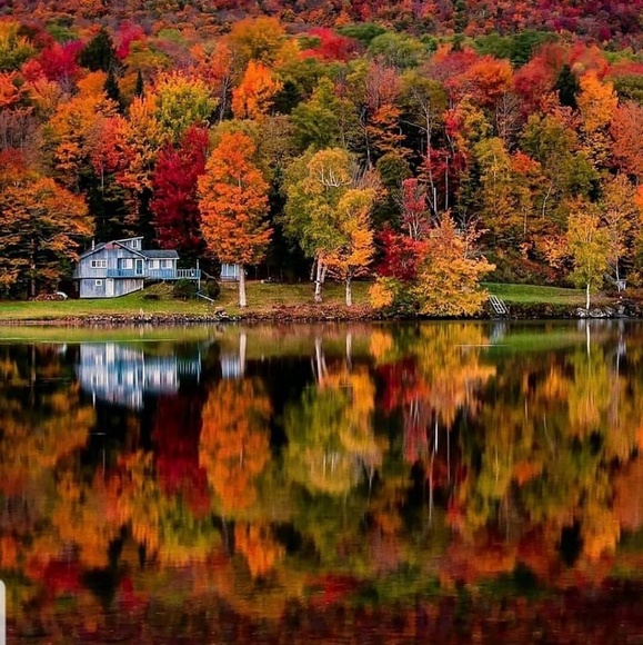 Meet your Posher, Foz - Picture 1 of 1